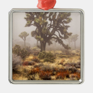 Kalifornien: Joshua-Tree-Nationalmonument, Silbernes Ornament