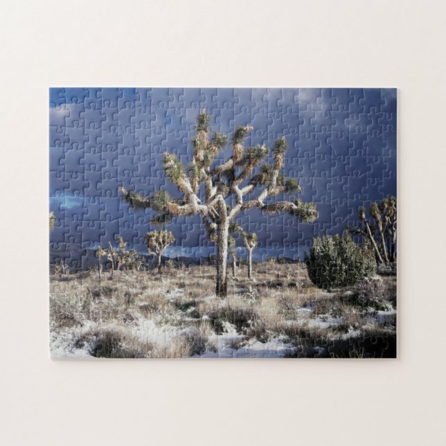 Kalifornien, Joshua-Tree-Nationalpark (Horizontal)
