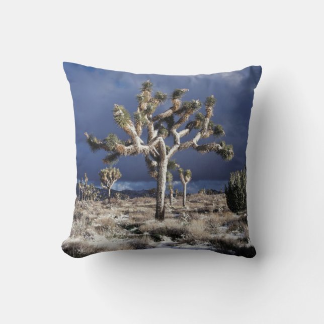 Kalifornien, Joshua-Tree-Nationalpark Kissen (Vorderseite)