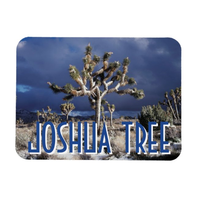 Kalifornien, Joshua-Tree-Nationalpark Magnet (Horizontal)