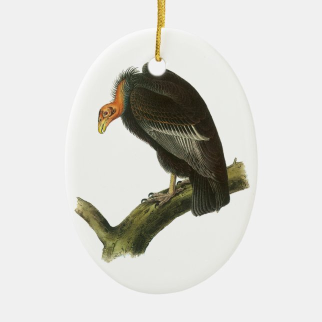 Kalifornien-Kondor durch Audubon Keramikornament (Vorne)