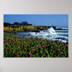 Kalifornien-Küsten-Blumen-Plakat Poster