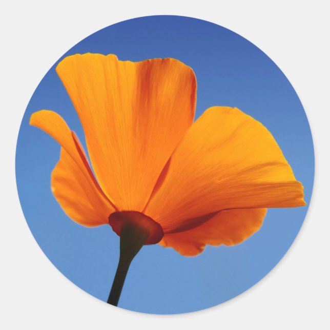 Kalifornien Mohn gegen den blauen Himmel Runder Aufkleber (Vorderseite)
