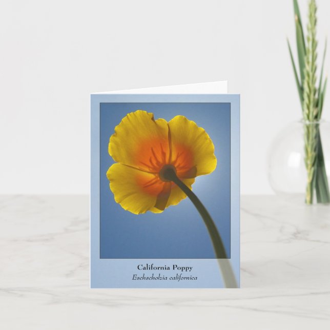 Kalifornien-Mohnblume - gebürtiges Notecard Karte (Vorderseite)