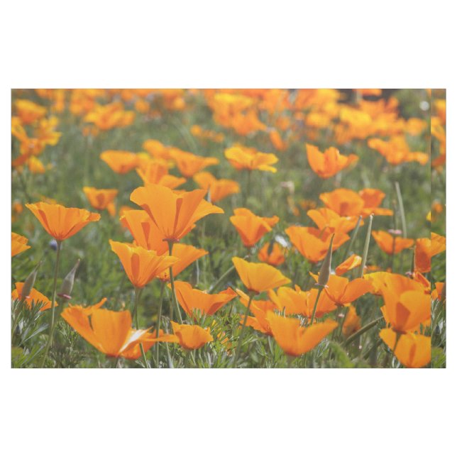 Kalifornien-Mohnblumen-Feld Stoff (Fat Quarter (45,7 x 55,9 cm))