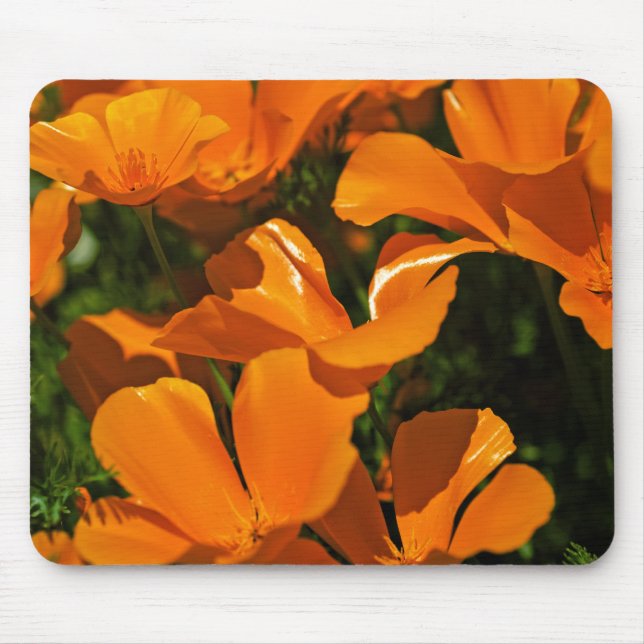 Kalifornien-Mohnblumen Mousepad (Vorne)