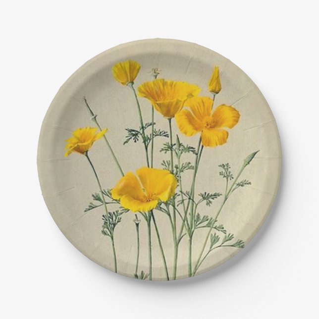 Kalifornien-Mohnblumen-PapierTeller Pappteller (Vorderseite)
