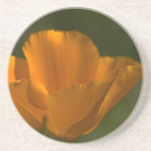 Kalifornien-Mohnblumen-Untersetzer Sandstein Untersetzer