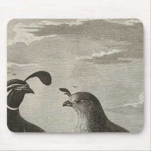 Kalifornien Mousepad