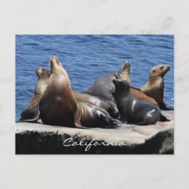 Kalifornien Postkarte