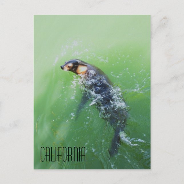 Kalifornien Postkarte (Vorderseite)