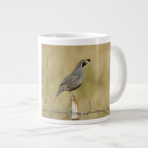 Kalifornien-Quai Jumbo-Tasse