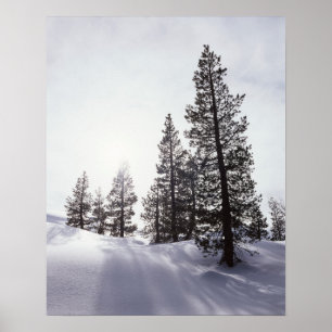 Kalifornien, Rancho Cuyamaca State Park Poster