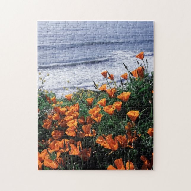 Kalifornien, Riesenküste, Kalifornien-Mohn (Vertikal)