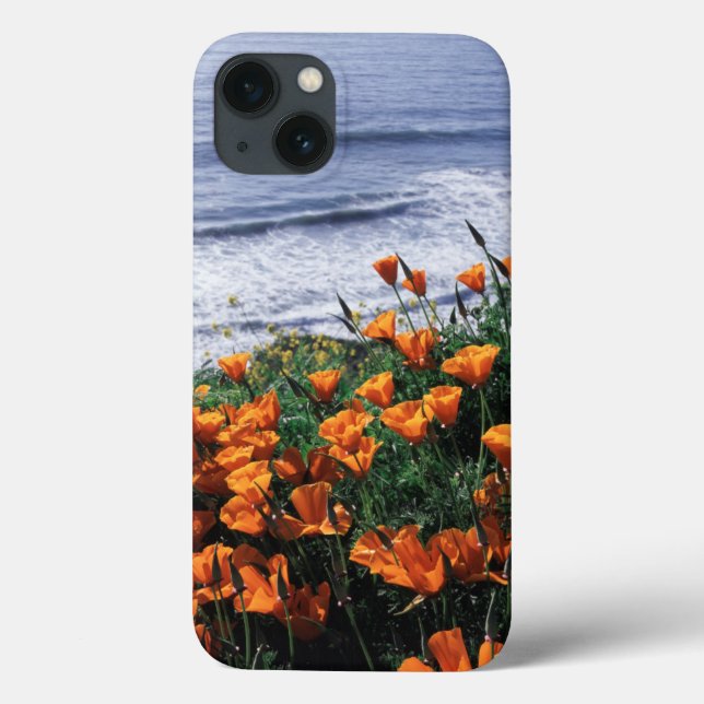 Kalifornien, Riesenküste, Kalifornien, Mohn Case-Mate iPhone Hülle (Rückseite)
