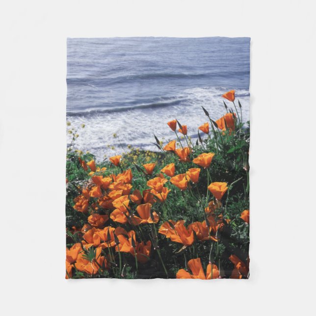 Kalifornien, Riesenküste, Kalifornien-Mohn Fleecedecke (Vorderseite)