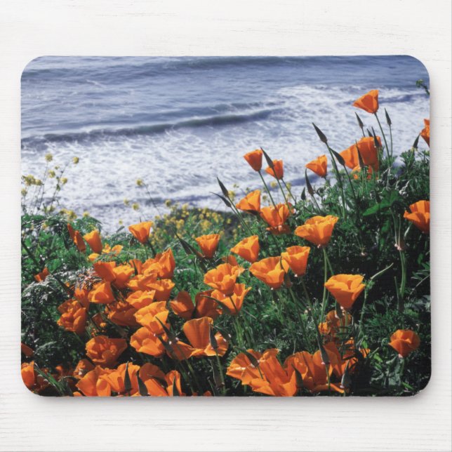 Kalifornien, Riesenküste, Kalifornien-Mohn Mousepad (Vorne)