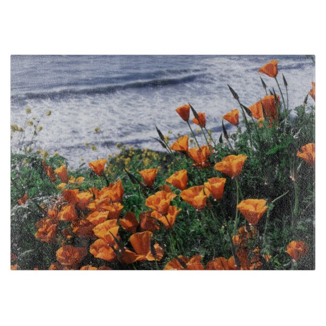 Kalifornien, Riesenküste, Kalifornien-Mohn Schneidebrett (Vorderseite)