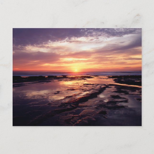 Kalifornien, San Diego, Sunset Cliffs, Sunset 3 Postkarte (Vorderseite)