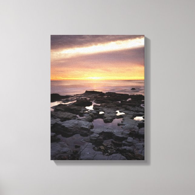Kalifornien, San Diego, Sunset Cliffs, Sunset 6 Leinwanddruck (Vorderseite)
