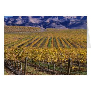 Kalifornien, San Luis Obispo County, Edna Valley