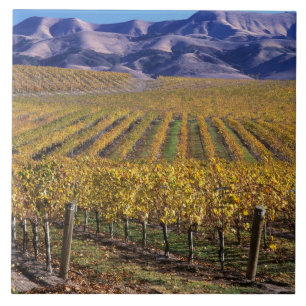 Kalifornien, San Luis Obispo County, Edna Valley Fliese