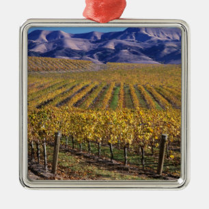 Kalifornien, San Luis Obispo County, Edna Valley Ornament Aus Metall