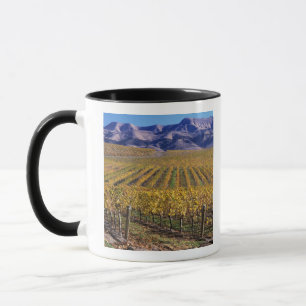 Kalifornien, San Luis Obispo County, Edna Valley Tasse