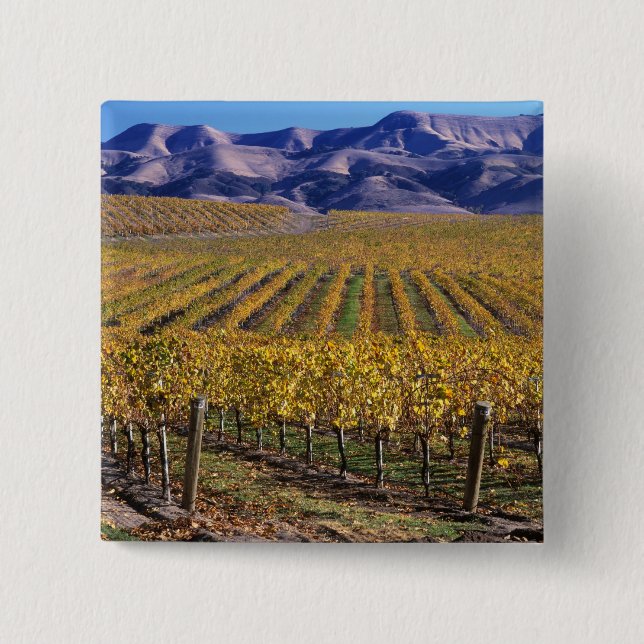 Kalifornien, San Luis Obispo Landkreis, Edna Tal Button (Vorderseite)