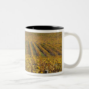 Kalifornien, San Luis Obispo Landkreis, Edna Tal Zweifarbige Tasse