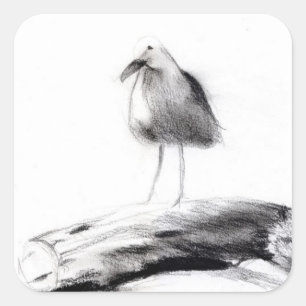 Kalifornien Seagull 2012 Quadratischer Aufkleber