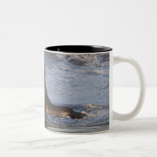 Kalifornien-Seelöwe Zweifarbige Tasse