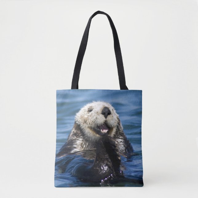 Kalifornien-SeeotterEnhydra lutris) Bräutigame Tasche (Vorderseite)