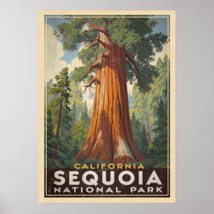 Kalifornien Sequoia-Nationalpark V01 Poster