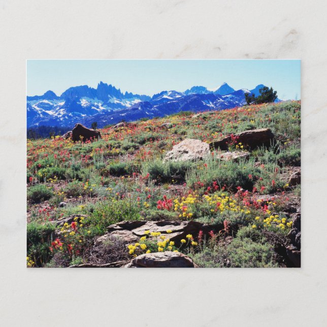 Kalifornien, Sierra Nevada 1 Postkarte (Vorderseite)