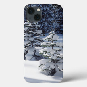 Kalifornien, Sierra Nevada Berge 8 Case-Mate iPhone Hülle