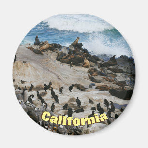 Kalifornien-Strand Magnet
