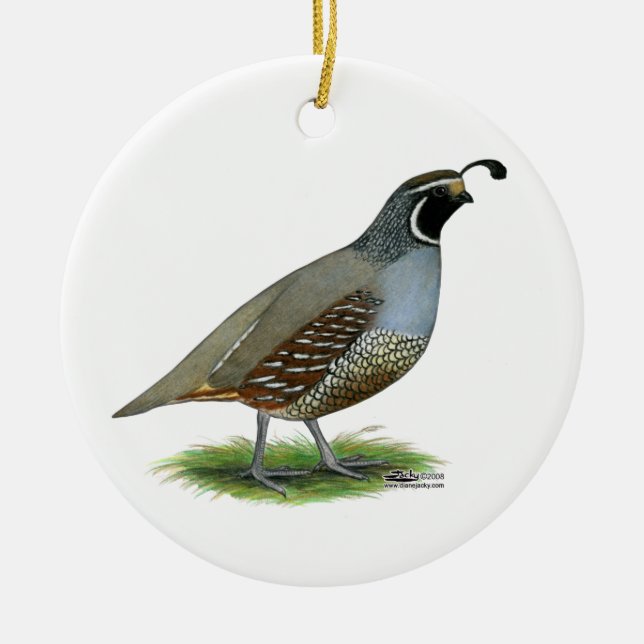 Kalifornien-Tal-Wachteln Keramik Ornament (Vorne)