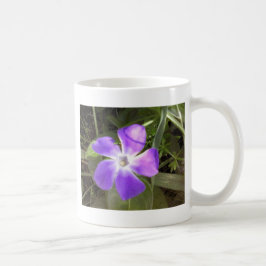 Kalifornien-Wildblume Kaffeetasse