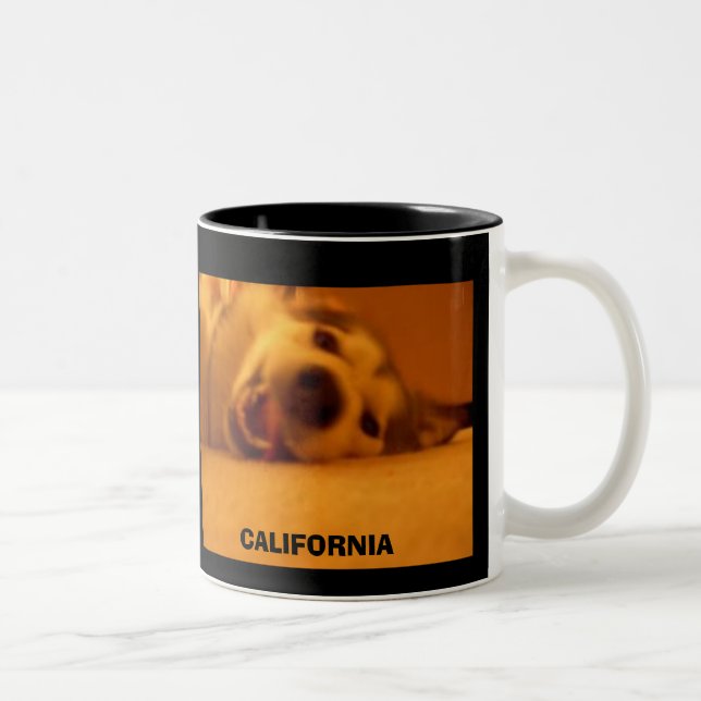KALIFORNIEN ZWEIFARBIGE TASSE (Rechts)