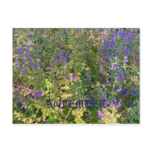 KALIFORNIENISCHE NATIVE FARBEN: NOVEMBER POSTCARD