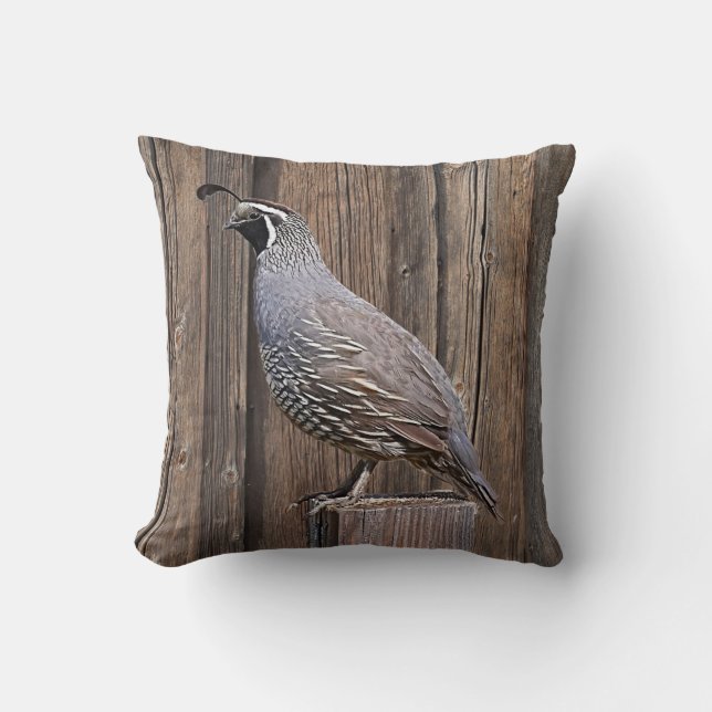 KALIFORNIENISCHE QUAIL AUF BARNBOARD KISSEN (Vorderseite)