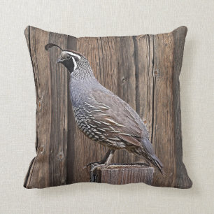 KALIFORNIENISCHE QUAIL AUF BARNBOARD KISSEN