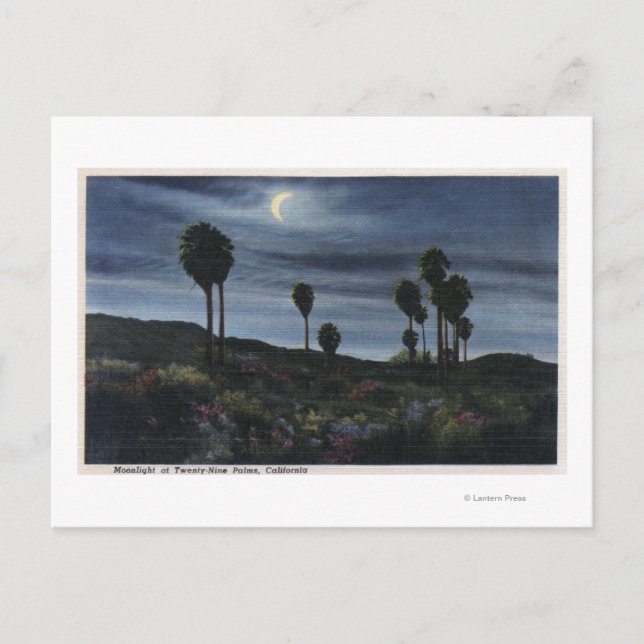 KalifornienMoonlit View bei 299 Palmen Postkarte (Vorderseite)