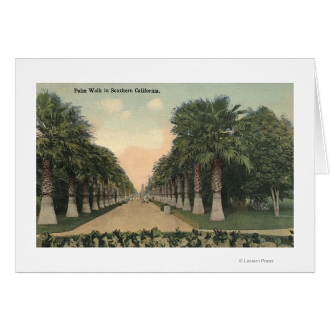 KalifornienPalmen entlang der Straße (Vorderseite (Horizontal))