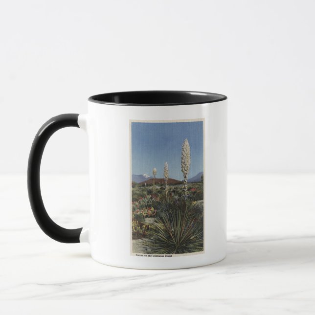 KalifornienYucca Kakteen in Bloom in Wüste Tasse (Links)