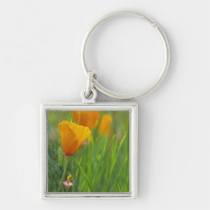 Kalifornische Goldmohn auf einem grünen Feld Schlüsselanhänger