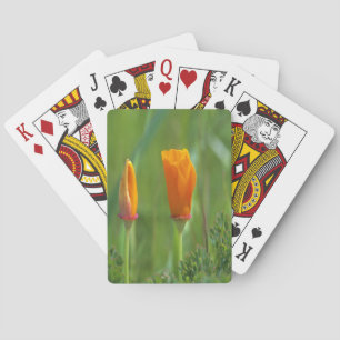 Kalifornische Goldmohn auf einem grünen Feld Spielkarten