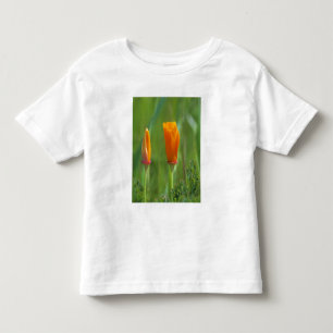 Kalifornische Goldmohnblumen auf einem grünen Feld Kleinkind T-shirt