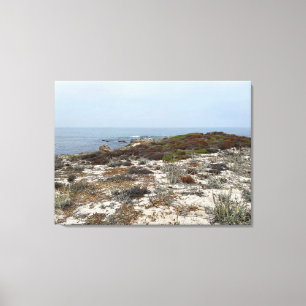 Kalifornische Leinwand: Asilomar Leinwanddruck